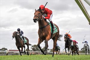 RED ARMY FILLY BREEZES HOME